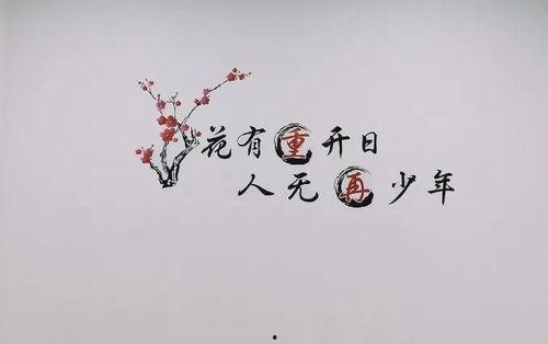 花有重开日,花开花落，重拾美好时光