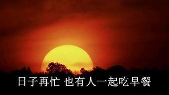当爱隐于夜色中,当爱隐于光影之间